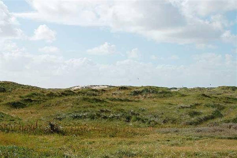 Foto von Ferienhaus PV30 in Lakolk - Rømø