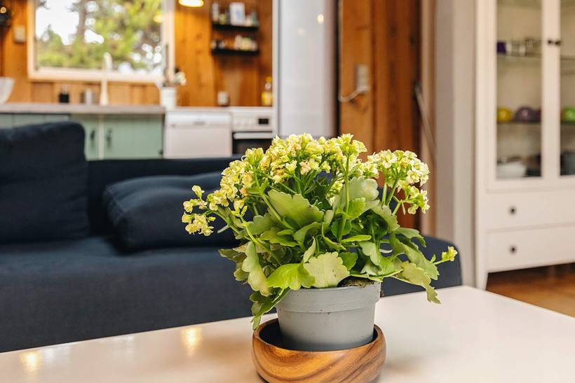 Foto von Ferienhaus PV53 in Marielyst - Falster
