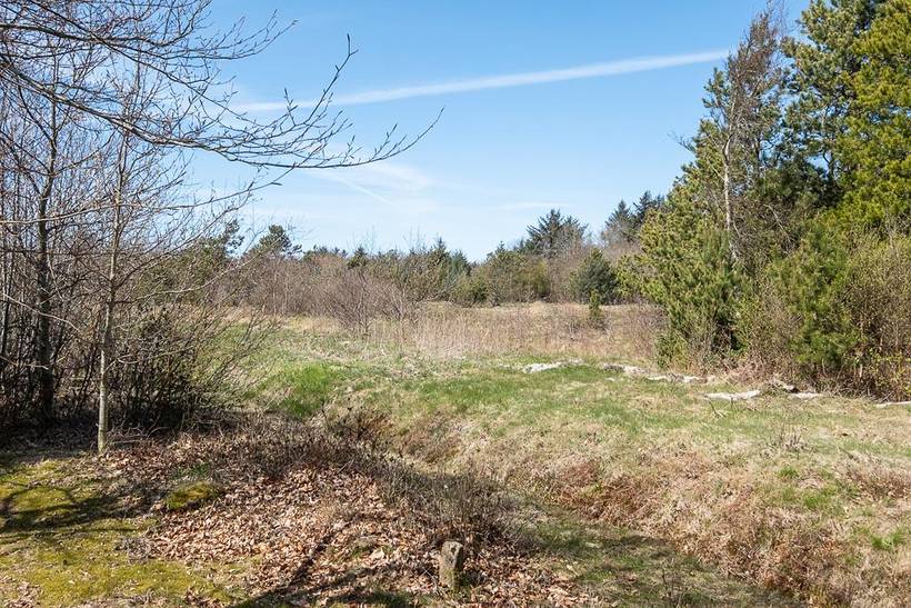 Foto von Ferienhaus PV71 in Saltum - Blokhus - Nordjütland