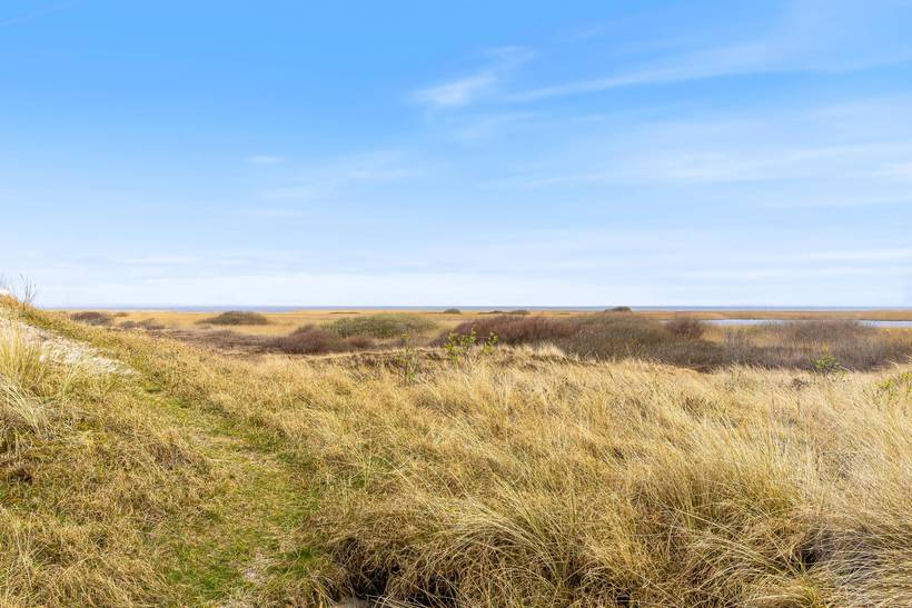 Foto von Ferienhaus PW25 in Haurvig - Årgab - Westjütland