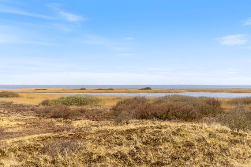Foto von Ferienhaus PW25 in Haurvig - Årgab - Westjütland