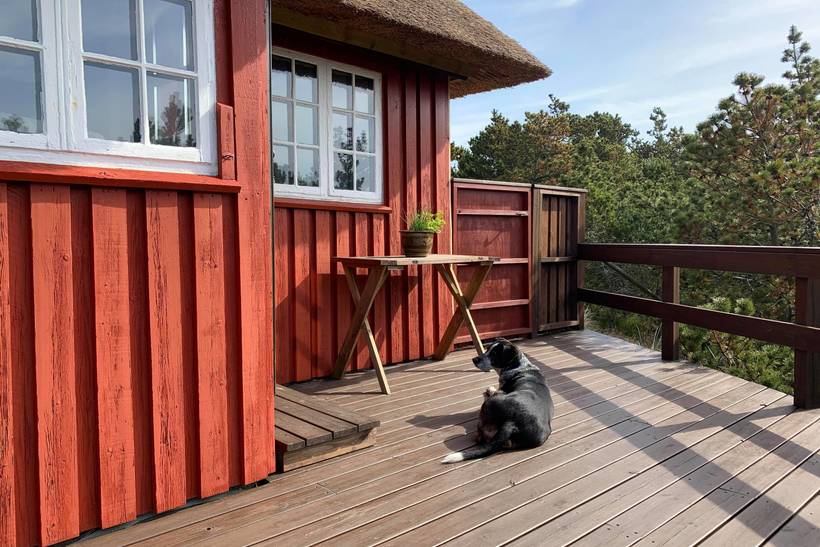 Foto von Ferienhaus PW32 in Vejers Strand - Westjütland