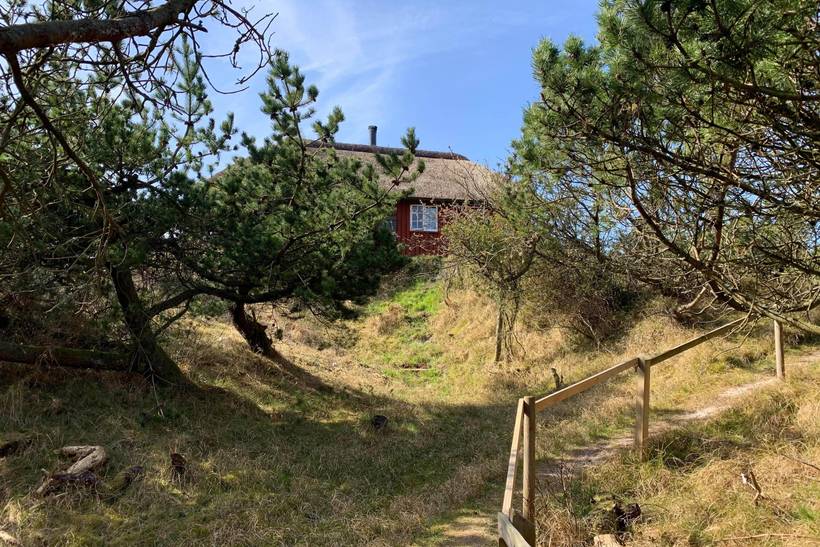 Foto von Ferienhaus PW32 in Vejers Strand - Westjütland