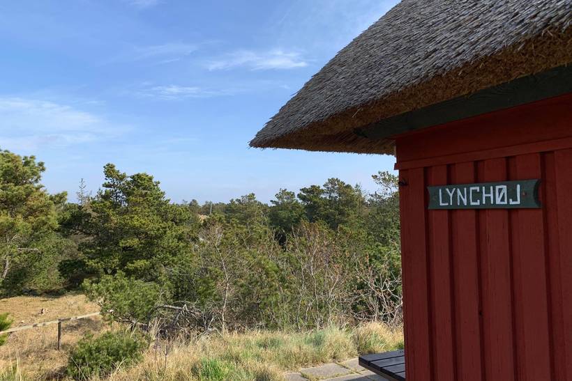 Foto von Ferienhaus PW32 in Vejers Strand - Westjütland
