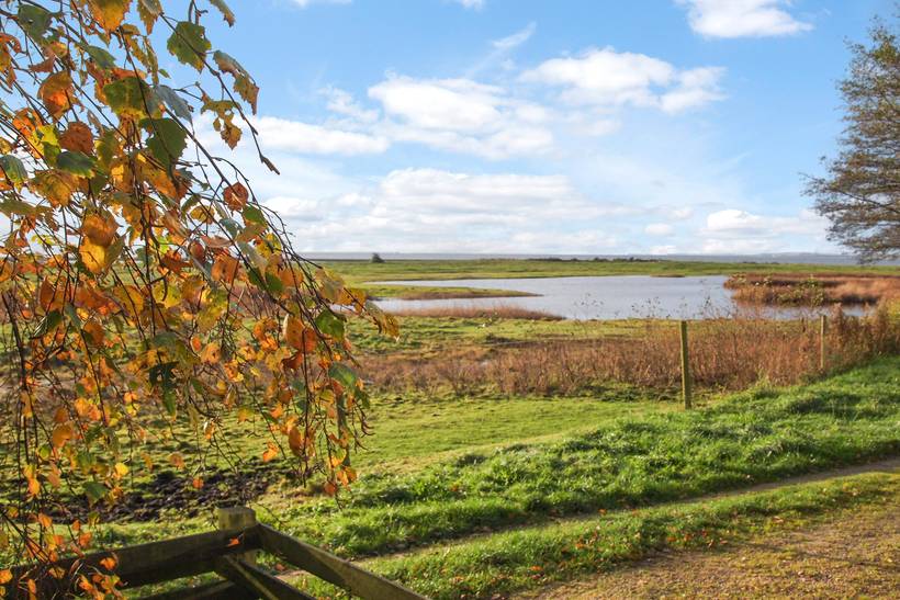 Foto von Ferienhaus PW79 in Amtoft - Thy/Limfjord