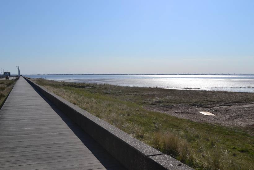 Foto von Ferienhaus PX89 in Havneby - Rømø
