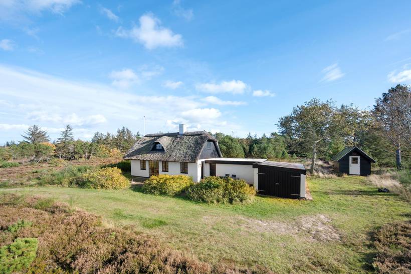 Foto von Ferienhaus PY81 in Vile - Thy/Limfjord