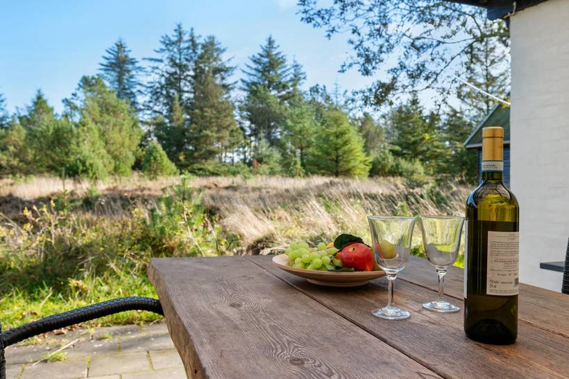 Foto von Ferienhaus PY81 in Vile - Thy/Limfjord