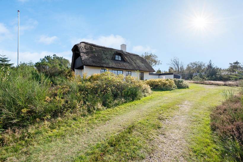 Foto von Ferienhaus PY81 in Vile - Thy/Limfjord