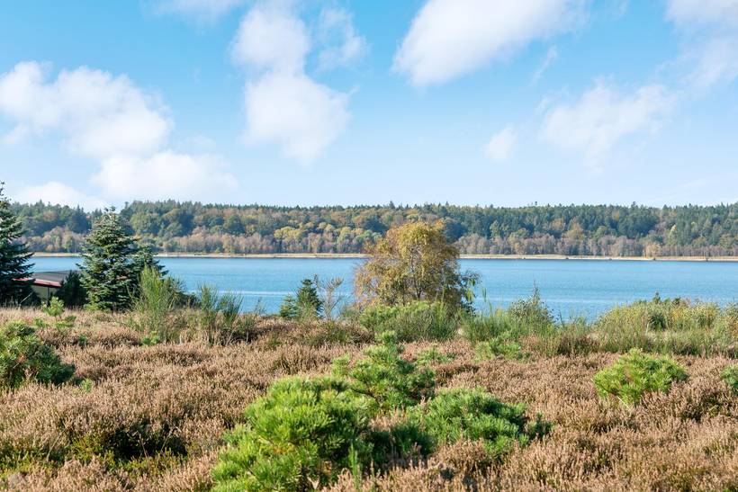 Foto von Ferienhaus PY81 in Vile - Thy/Limfjord