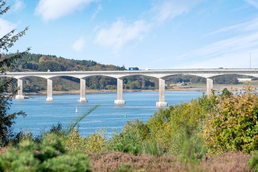 Foto von Ferienhaus PY81 in Vile - Thy/Limfjord