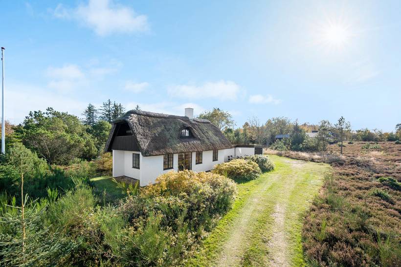 Foto von Ferienhaus PY81 in Vile - Thy/Limfjord
