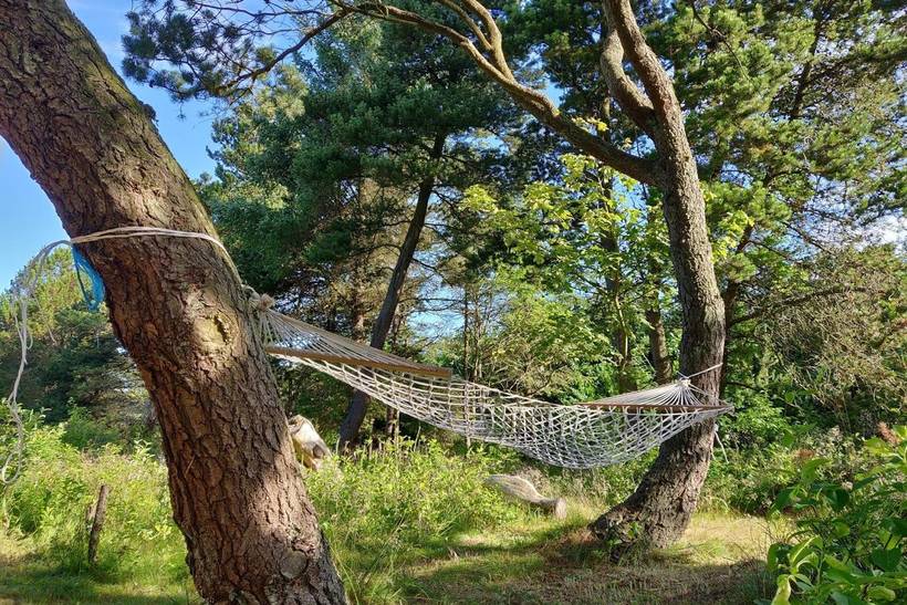 Foto von Ferienhaus PZ44 in Vejers Strand - Westjütland