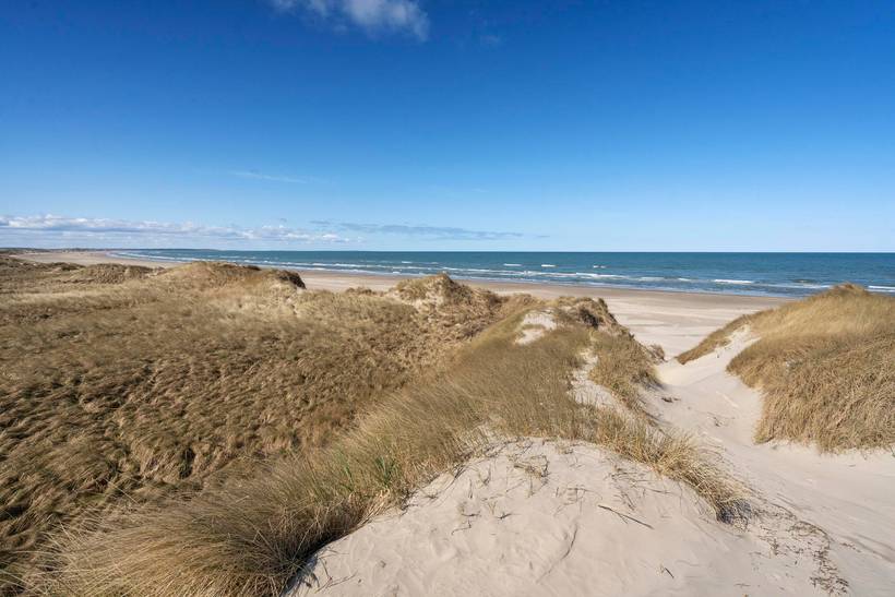 Foto von Ferienhaus PZ69 in Rødhus - Blokhus - Nordjütland