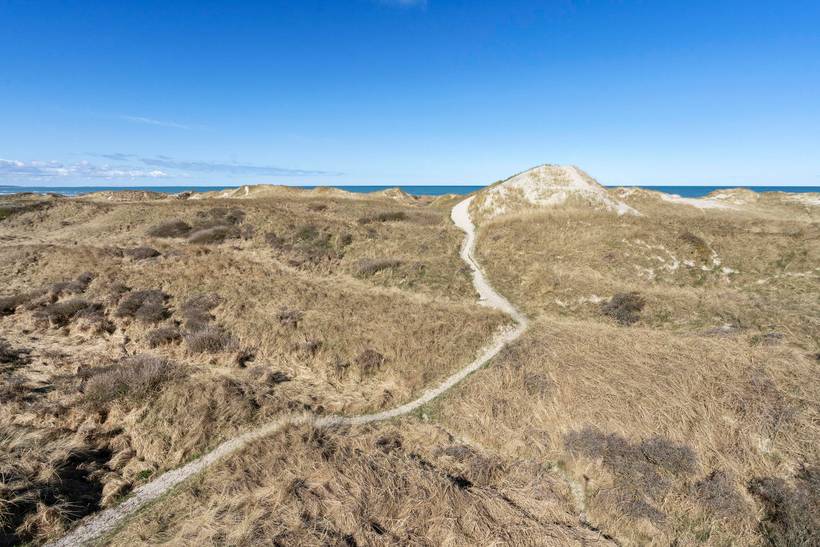 Foto von Ferienhaus PZ69 in Rødhus - Blokhus - Nordjütland
