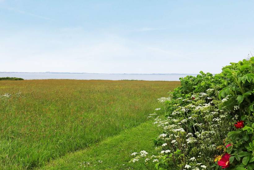 Foto von Ferienhaus QA04 in Livbjerggård - Thy/Limfjord