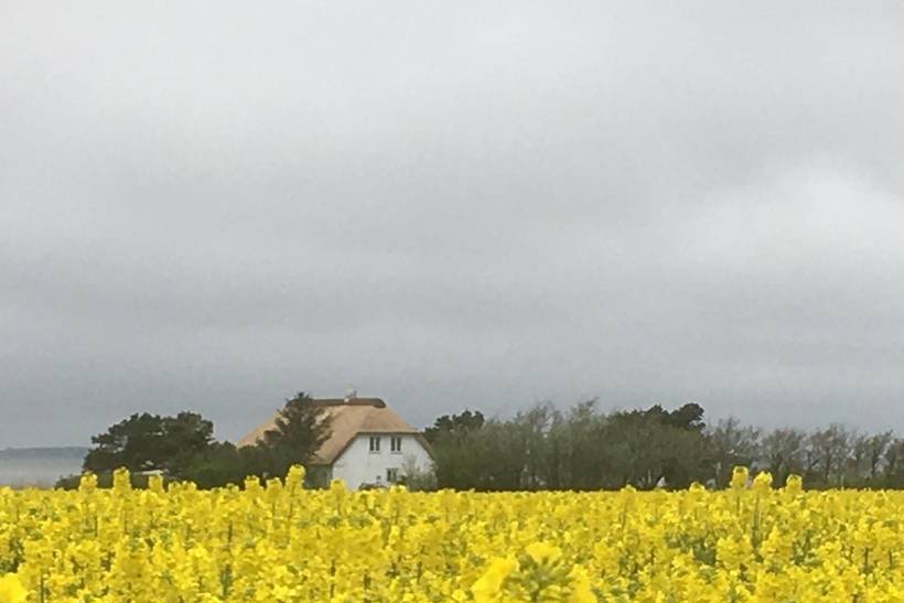 Foto von Ferienhaus QA06 in Ballum - Südjütland