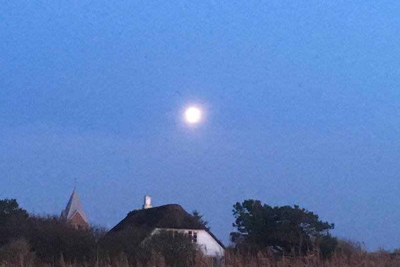 Foto von Ferienhaus QA06 in Ballum - Südjütland