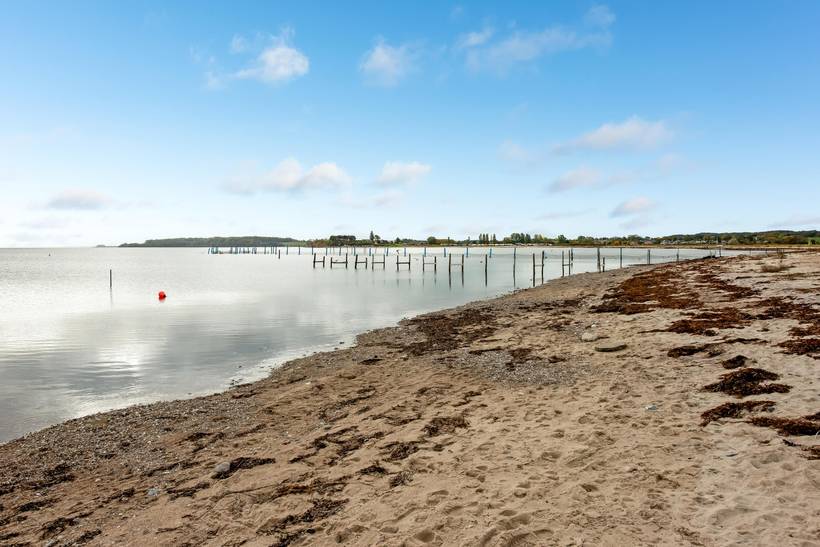 Foto von Ferienhaus QA21 in Diernæs - Südjütland