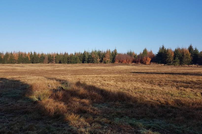 Foto von Ferienhaus QA61 in Arrild - Südjütland