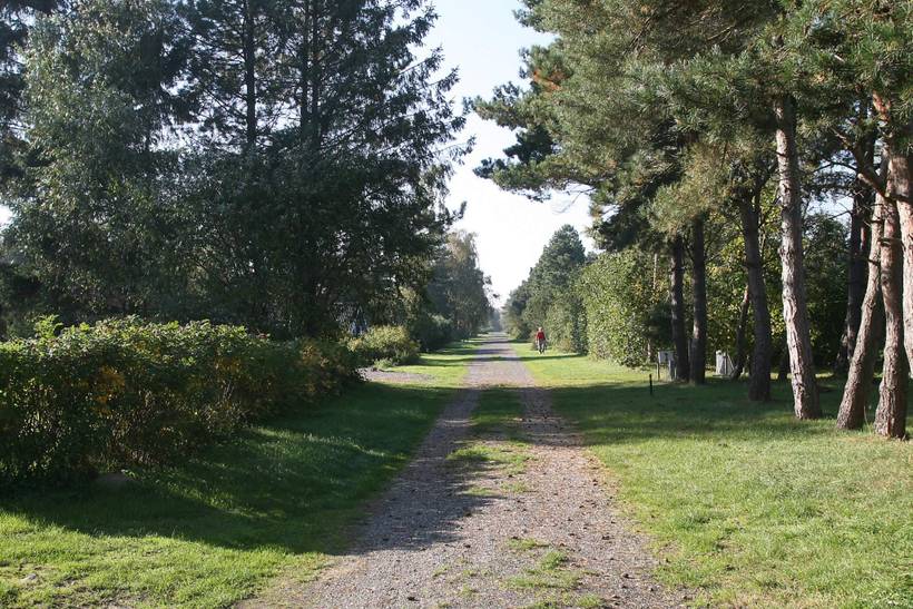 Foto von Ferienhaus QB61 in Kramnitse - Lolland