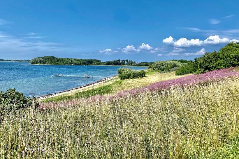 Foto von Ferienhaus QB79 auf Vellerup - Nordseeland