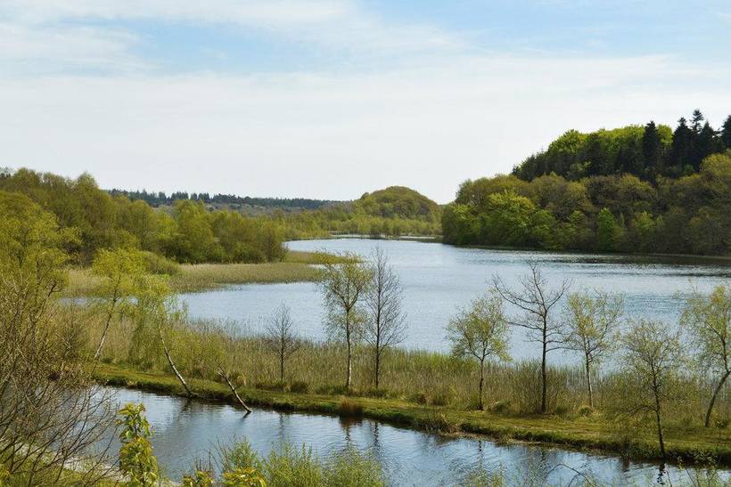 Foto von Ferienhaus QB80 in Rørbæk Sø - Ostjütland