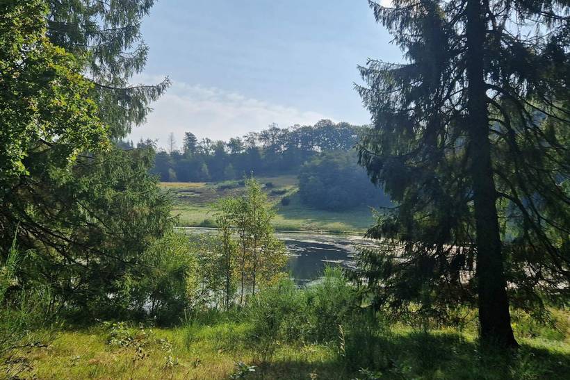 Foto von Ferienhaus QC04 in Handrup - Ebeltoft - Ostjütland
