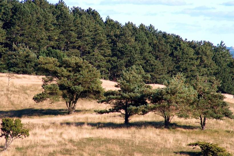 Foto von Ferienhaus QC04 in Handrup - Ebeltoft - Ostjütland