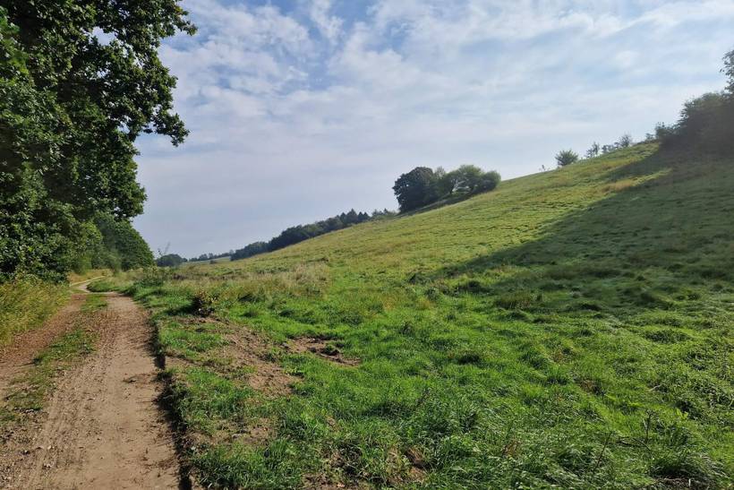 Foto von Ferienhaus QC04 in Handrup - Ebeltoft - Ostjütland