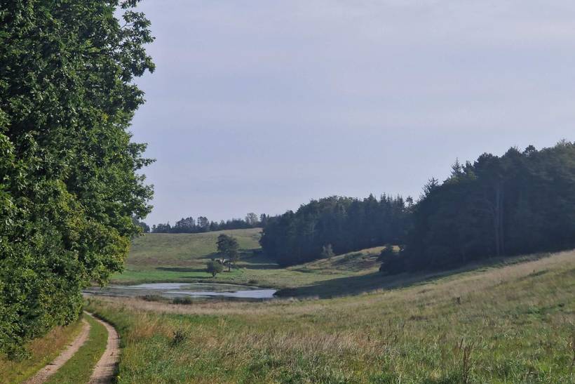 Foto von Ferienhaus QC04 in Handrup - Ebeltoft - Ostjütland