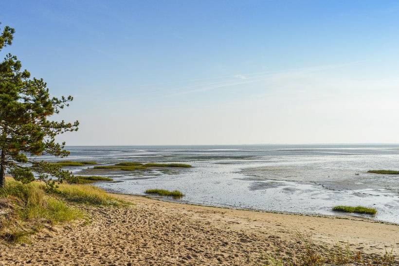 Foto von Ferienhaus QC44 in Kromose - Rømø