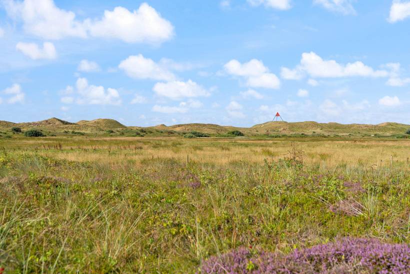 Foto von Ferienhaus QC49 in Haurvig - Årgab - Westjütland