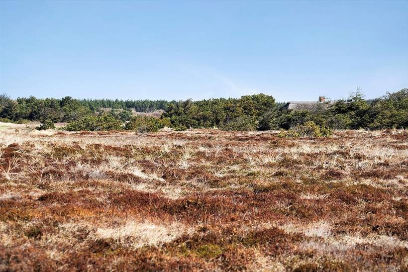 Foto von Ferienhaus QC98 in Vester Husby - Westjütland