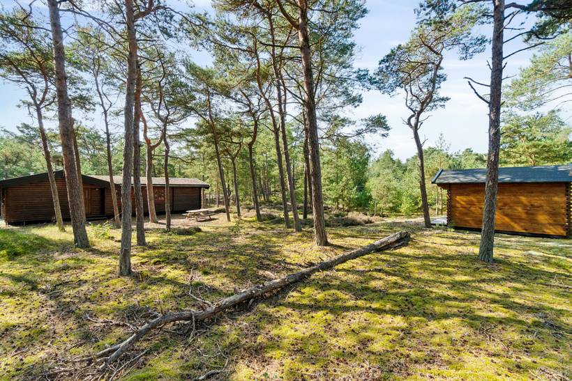 Foto von Ferienhaus QD86 in Dueodde - Bornholm