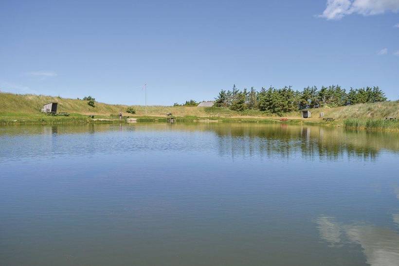 Foto von Ferienhaus QF20 in Vrist - Vejlby Klit - Westjütland