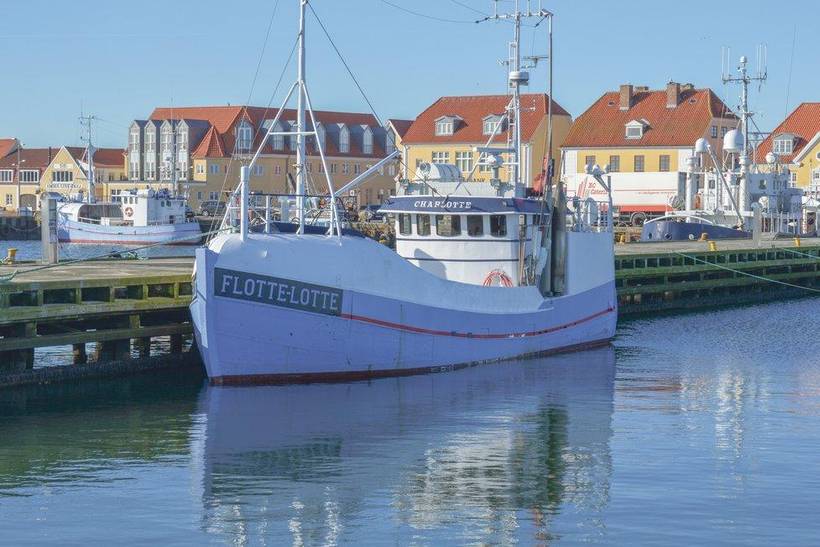 Foto von Ferienhaus QF20 in Vrist - Vejlby Klit - Westjütland