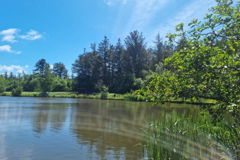 Foto von Ferienhaus QG33 in Løkken - Nordjütland
