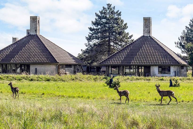 Foto von Ferienhaus QG60 auf Karrebæksminde - Enø - Südseeland