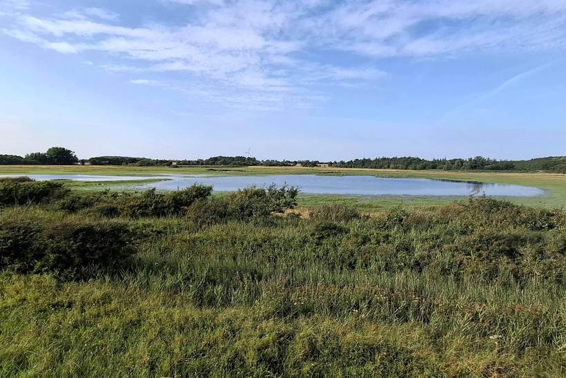 Foto von Ferienhaus QG64 in Næsby - Lolland