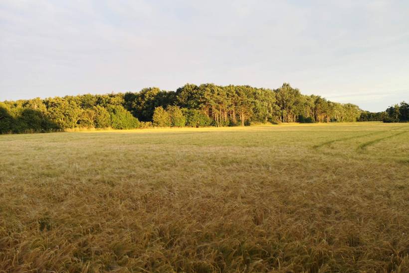 Foto von Ferienhaus QG64 in Næsby - Lolland
