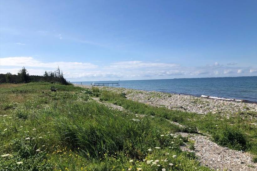Foto von Ferienhaus QG92 in Sjællands Odde - Westseeland