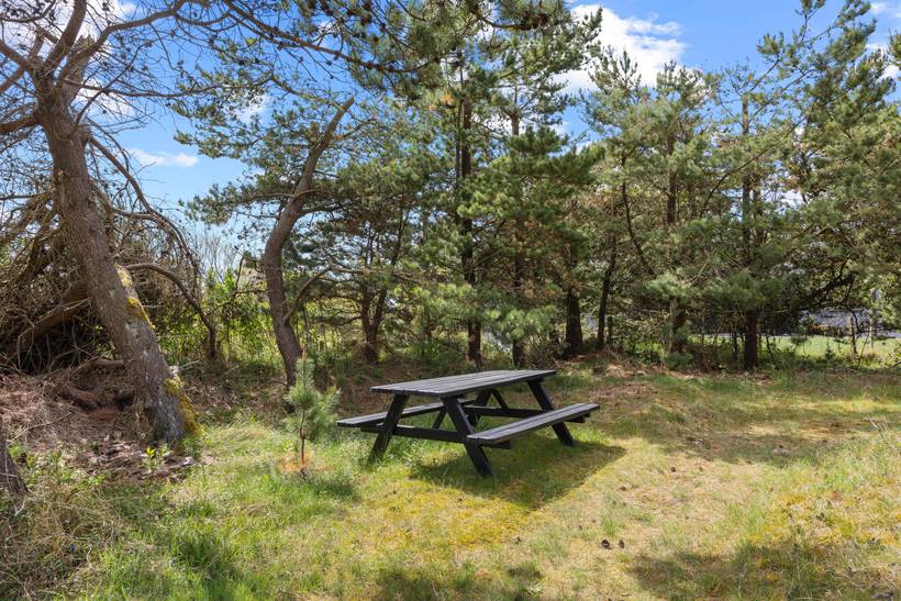 Foto von Ferienhaus QH49 in Vejers Strand - Westjütland