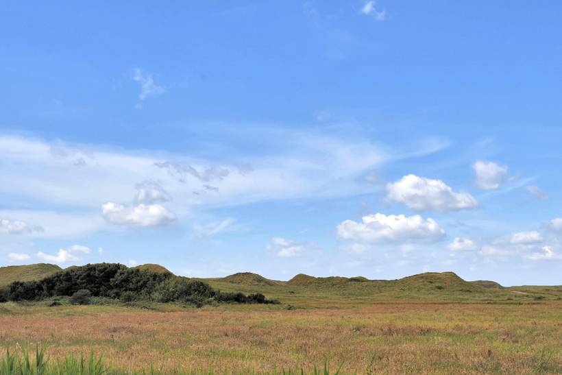 Foto von Ferienhaus QH52 in Haurvig - Årgab - Westjütland