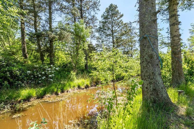 Foto von Ferienhaus QH92 in Skaven - Westjütland