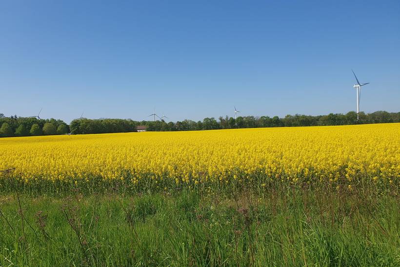 Foto von Ferienhaus QI37 in Sæby - Nordjütland Ost