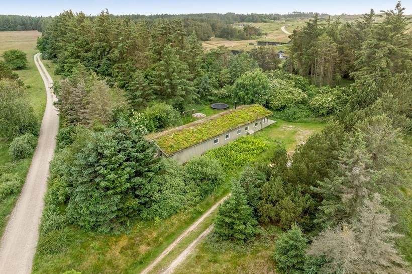 Foto von Ferienhaus QI55 in Grønhøj - Løkken - Nordjütland