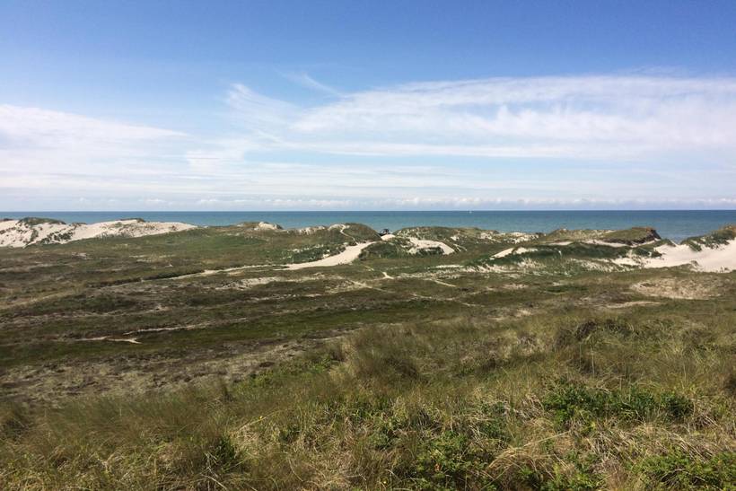 Foto von Ferienhaus QI98 in Søndervig - Westjütland