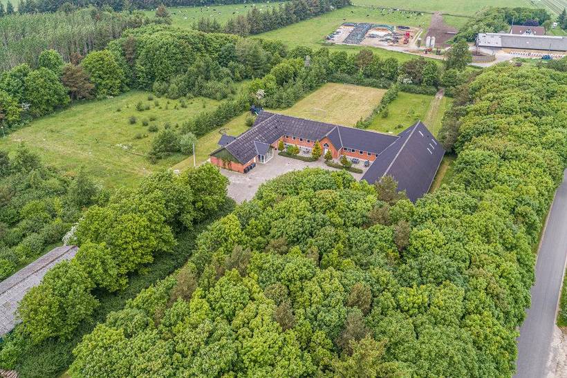Foto von Ferienhaus QJ23 in Nr. Lyngby - Nordjütland