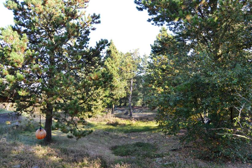 Foto von Ferienhaus QJ29 in Kromose - Rømø